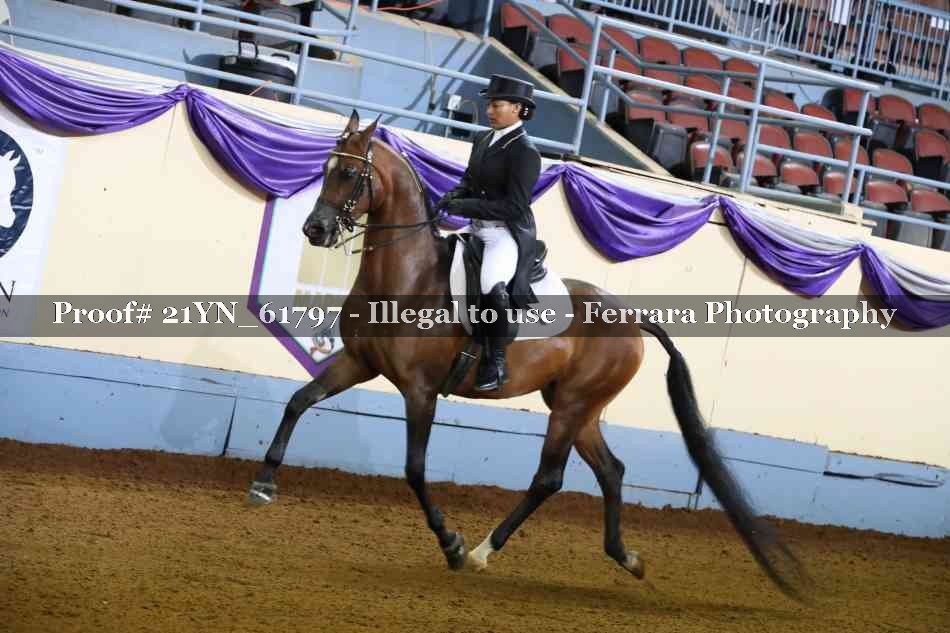 Proof 21YN_61797