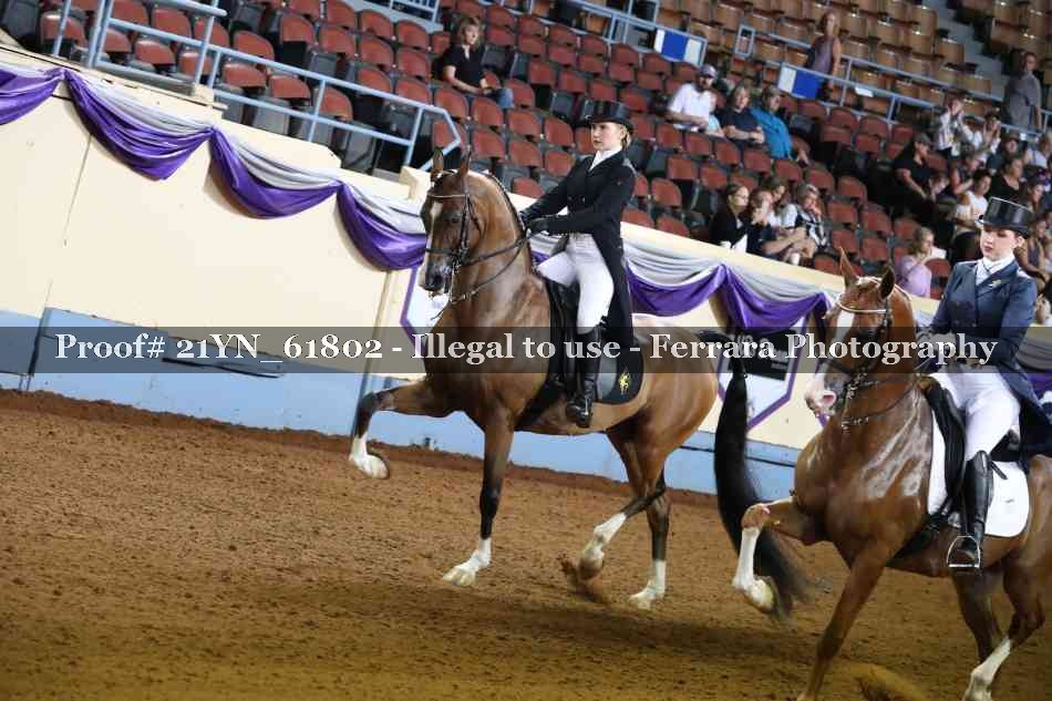 Proof 21YN_61802