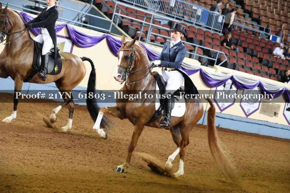 Proof 21YN_61803