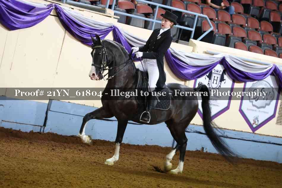 Proof 21YN_61804