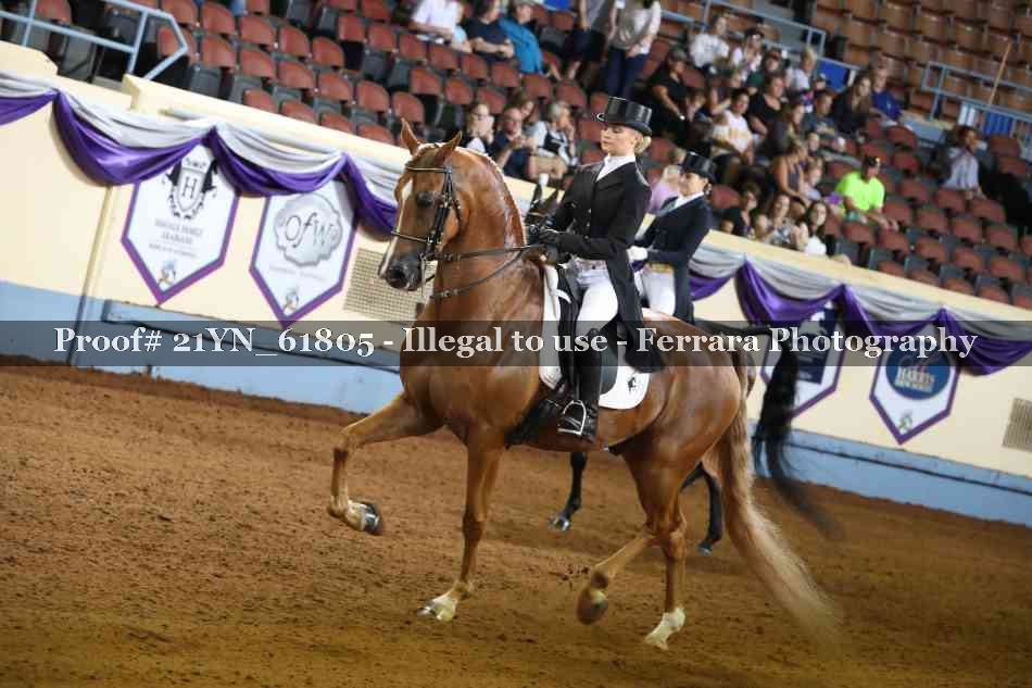 Proof 21YN_61805
