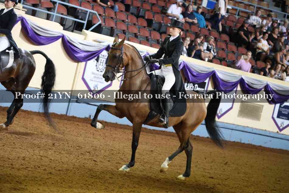 Proof 21YN_61806