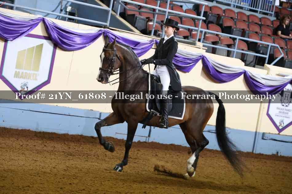 Proof 21YN_61808