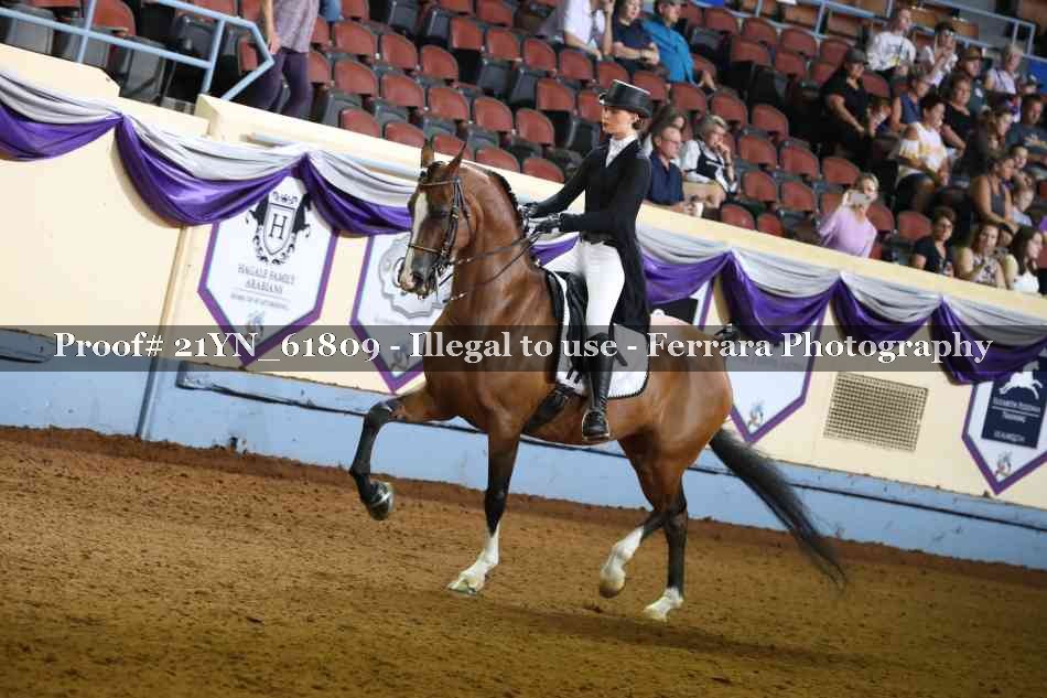 Proof 21YN_61809