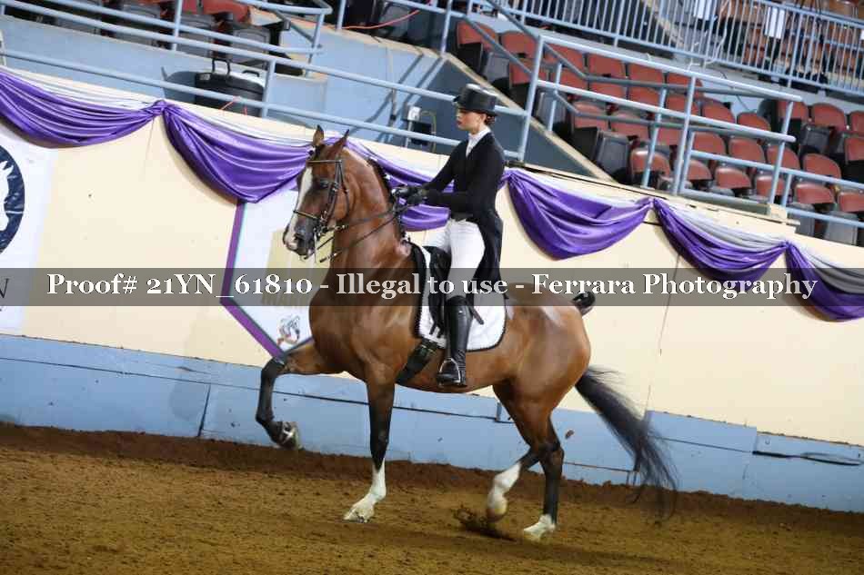 Proof 21YN_61810