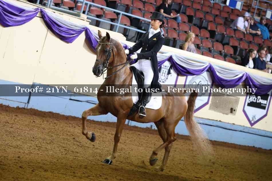 Proof 21YN_61814