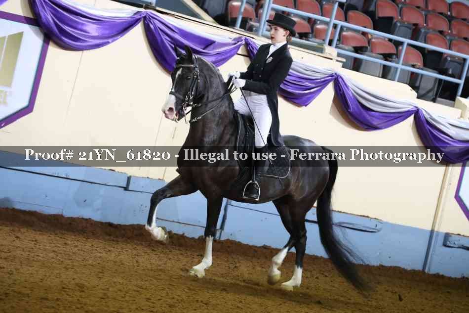 Proof 21YN_61820