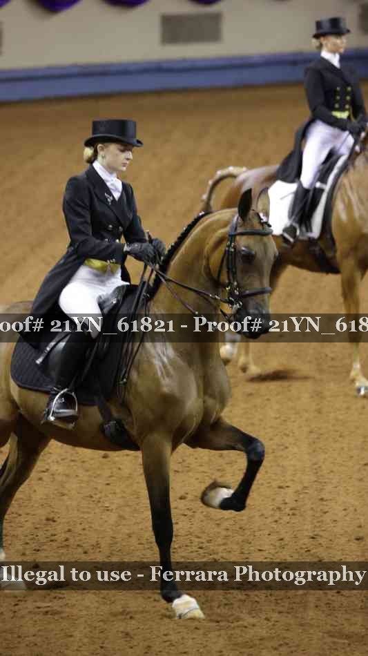 Proof 21YN_61821