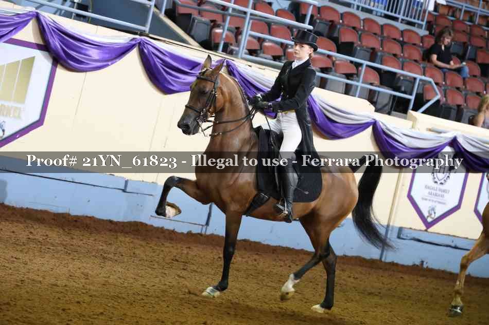 Proof 21YN_61823