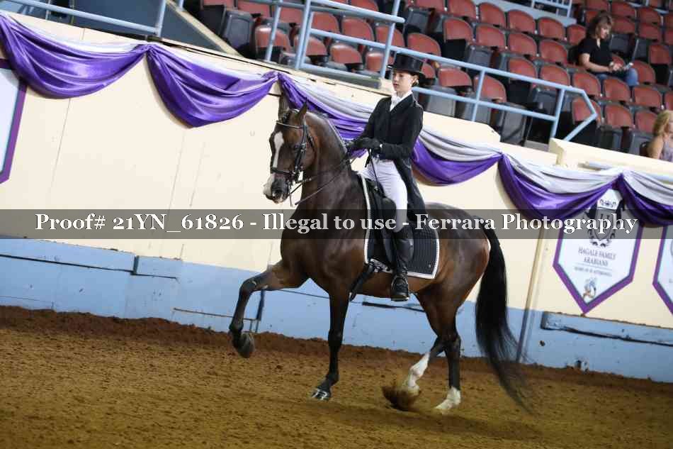 Proof 21YN_61826