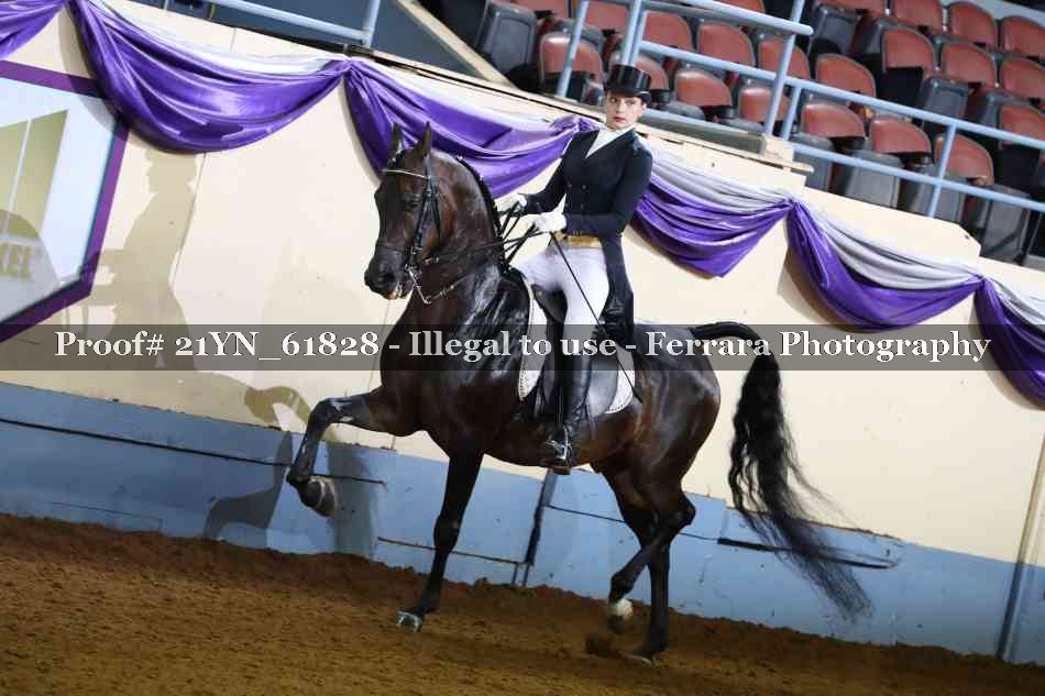 Proof 21YN_61828