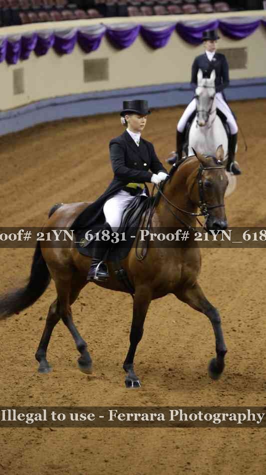 Proof 21YN_61831