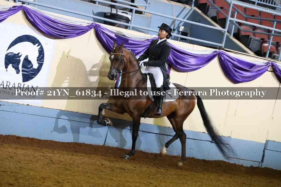 Proof 21YN_61834