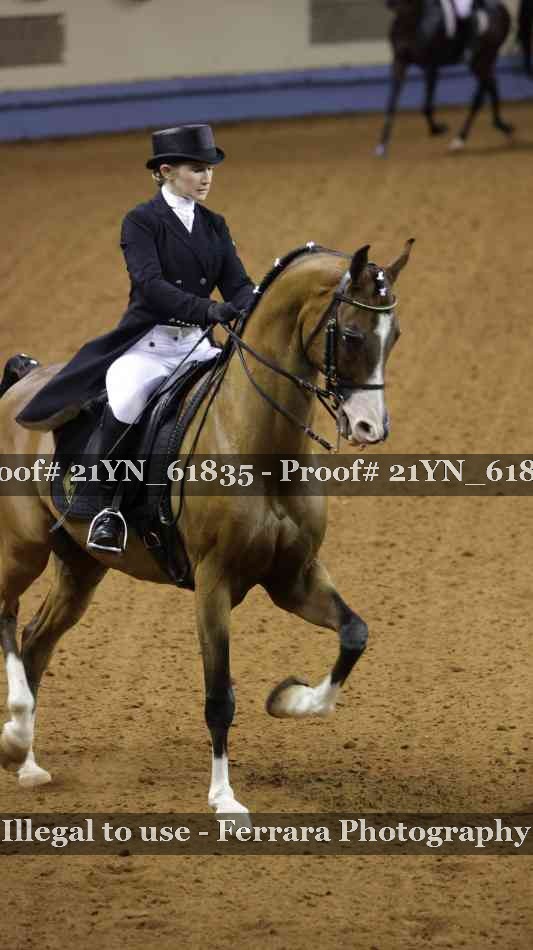 Proof 21YN_61835