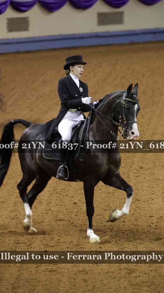 Proof 21YN_61837