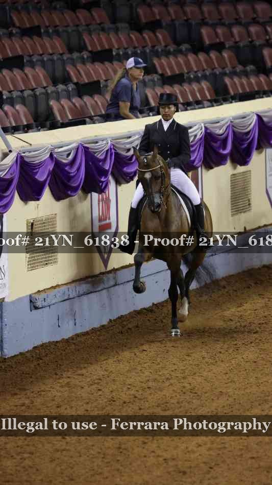Proof 21YN_61838