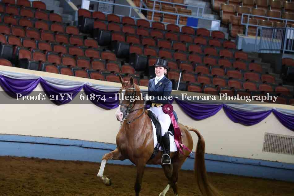 Proof 21YN_61874