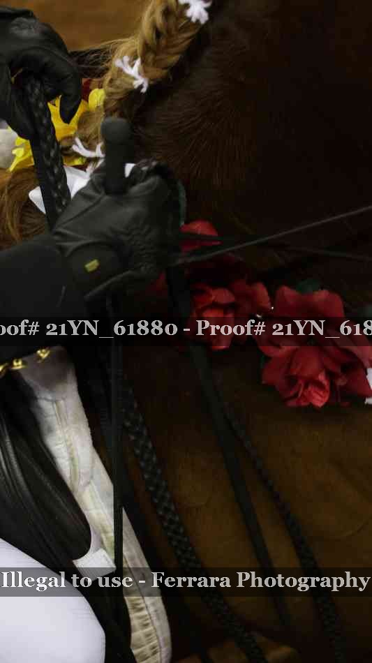 Proof 21YN_61880