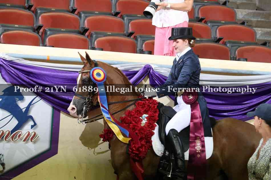 Proof 21YN_61889
