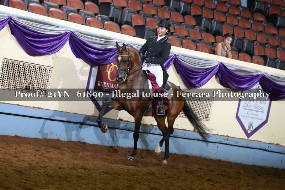 Proof 21YN_61890