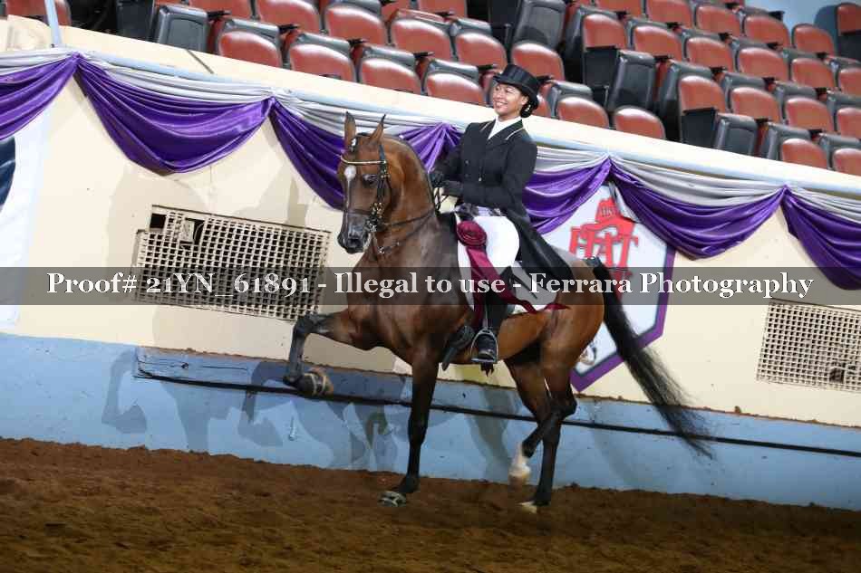 Proof 21YN_61891