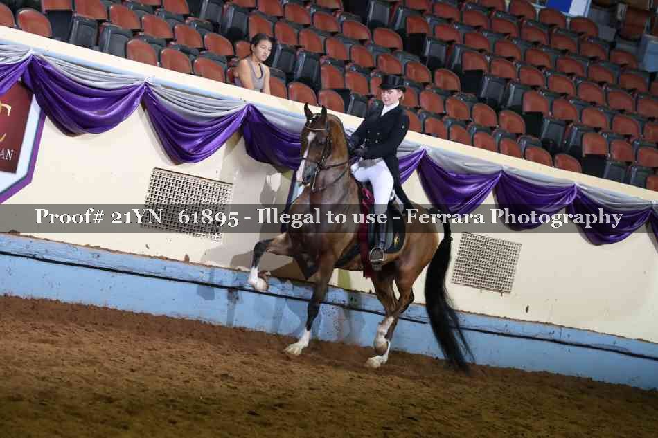 Proof 21YN_61895