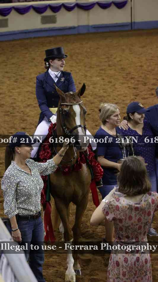 Proof 21YN_61896