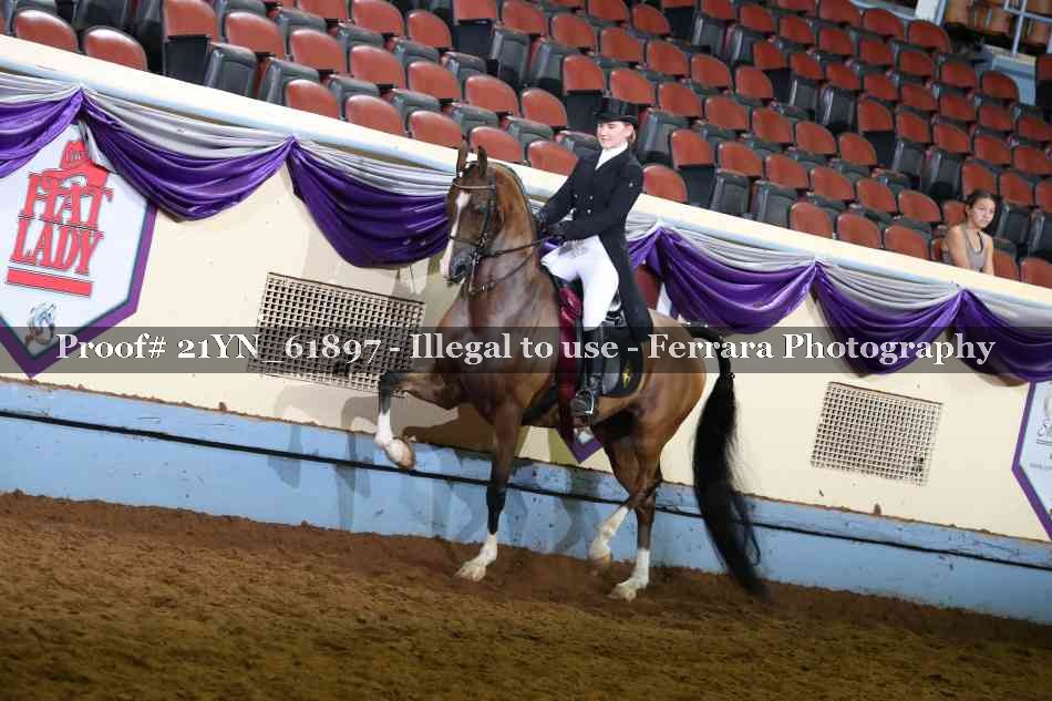 Proof 21YN_61897