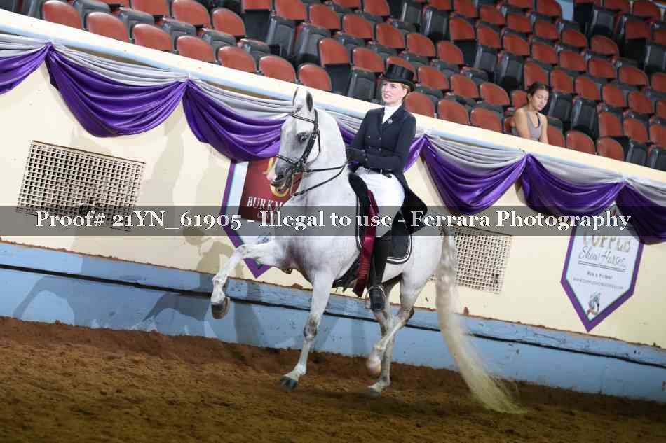 Proof 21YN_61905
