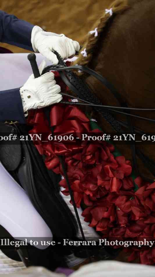 Proof 21YN_61906