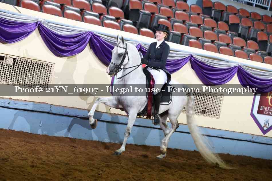 Proof 21YN_61907