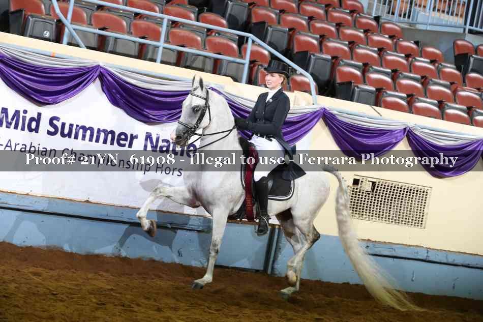 Proof 21YN_61908