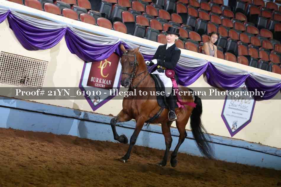 Proof 21YN_61910
