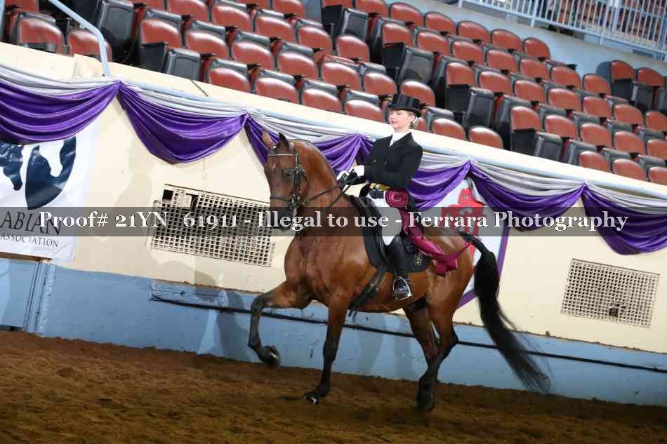 Proof 21YN_61911