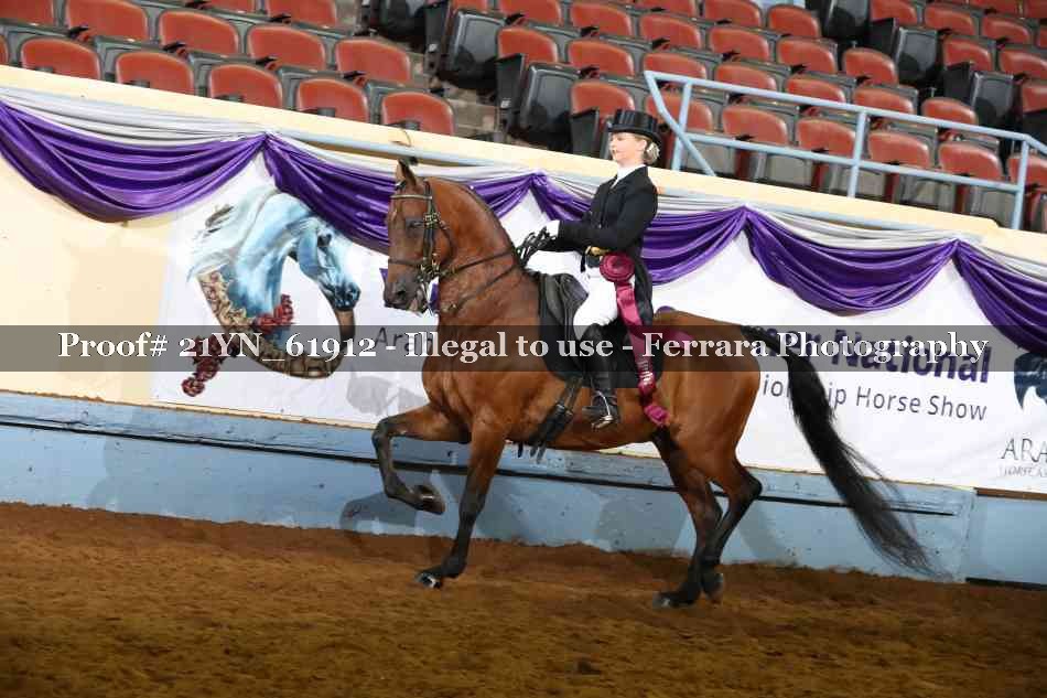 Proof 21YN_61912