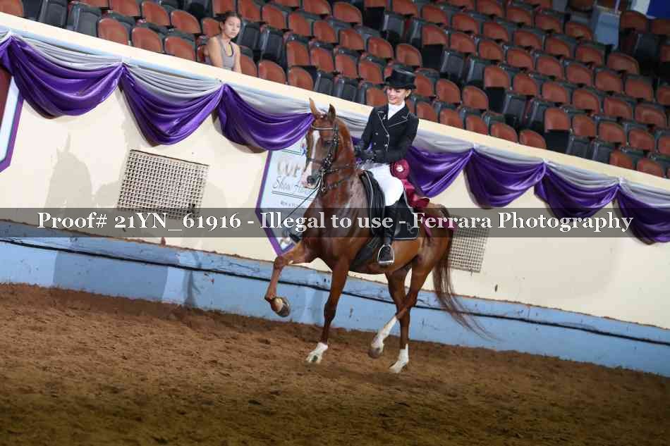 Proof 21YN_61916