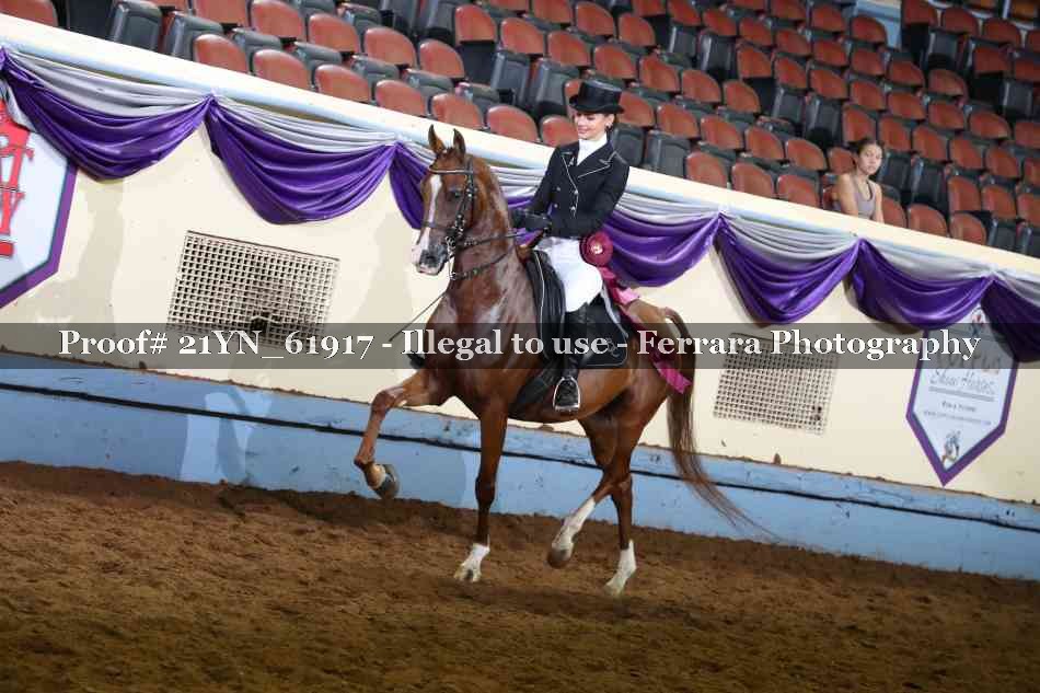 Proof 21YN_61917
