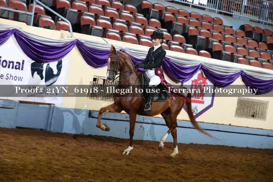 Proof 21YN_61918