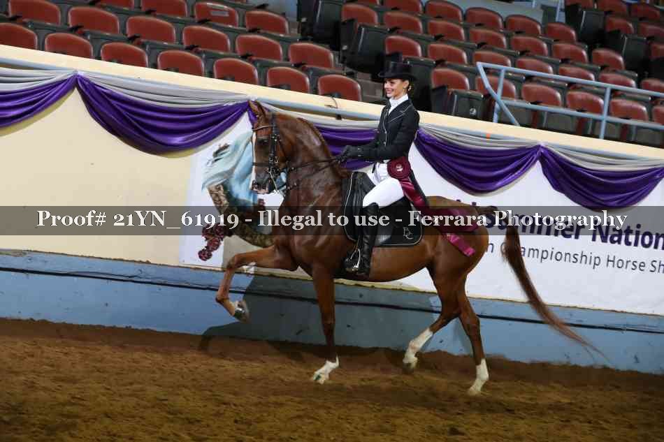 Proof 21YN_61919