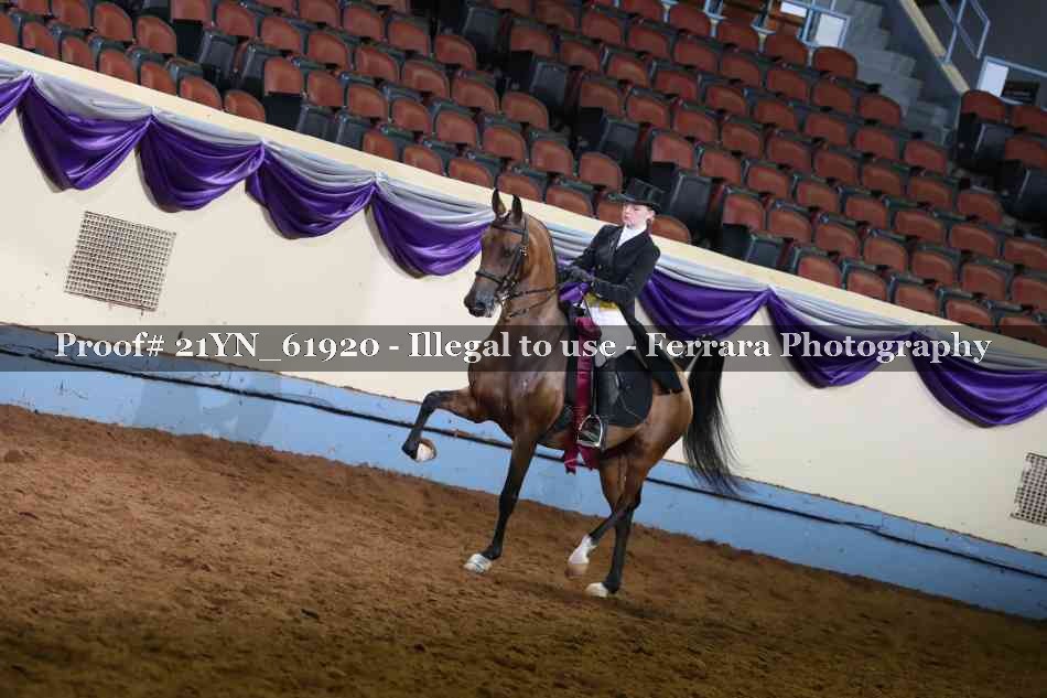 Proof 21YN_61920