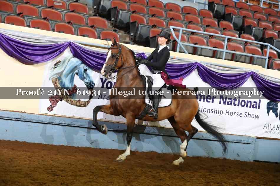 Proof 21YN_61931