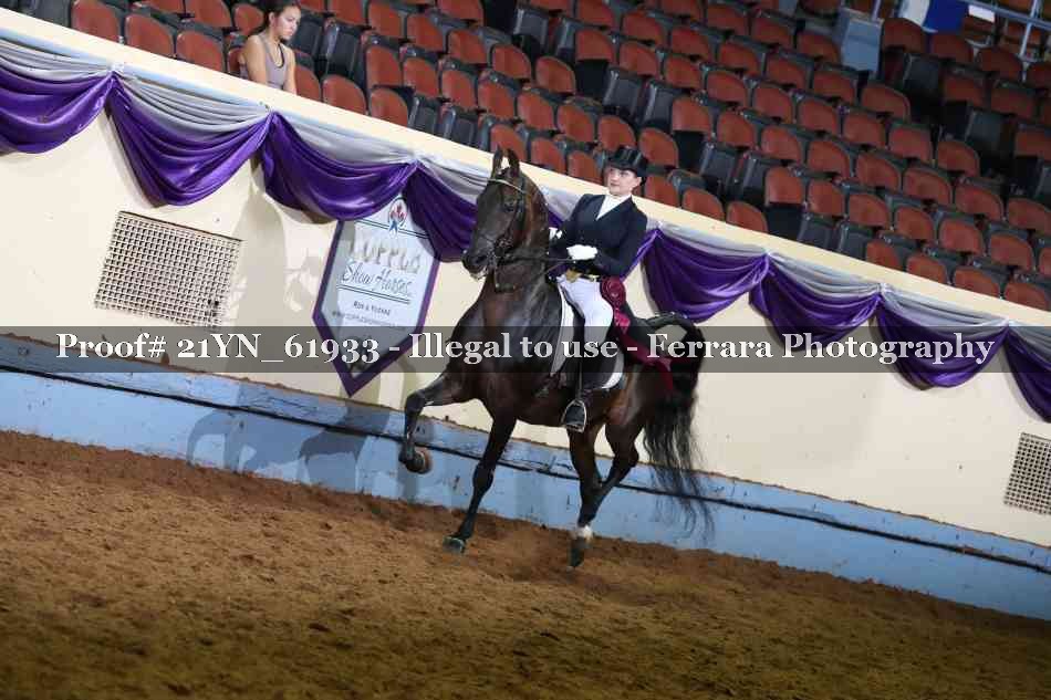 Proof 21YN_61933