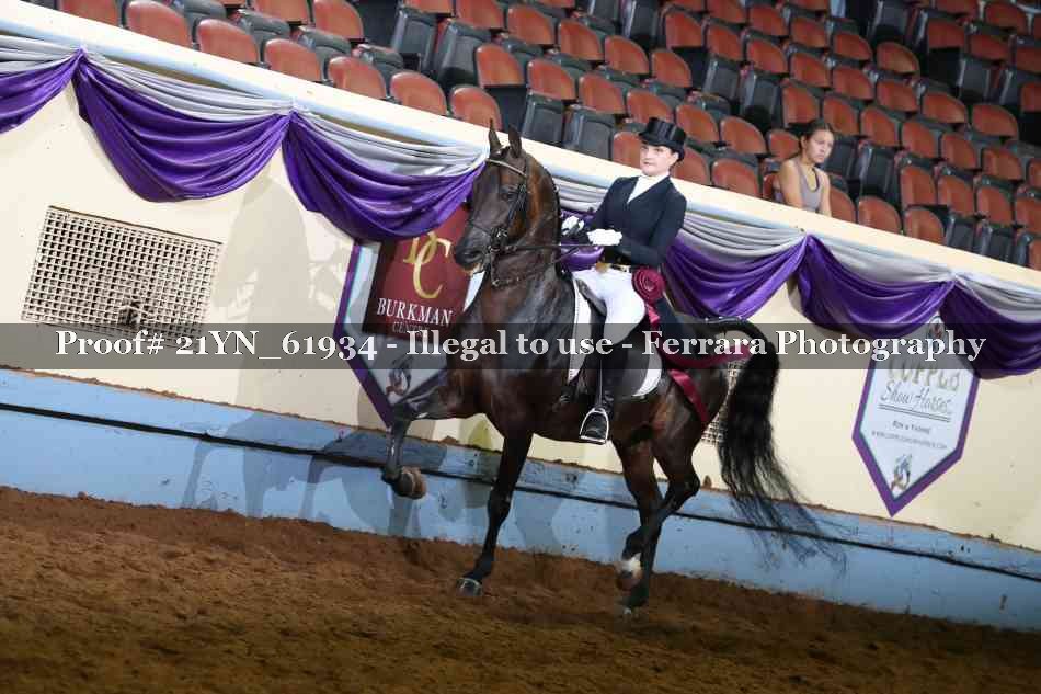 Proof 21YN_61934
