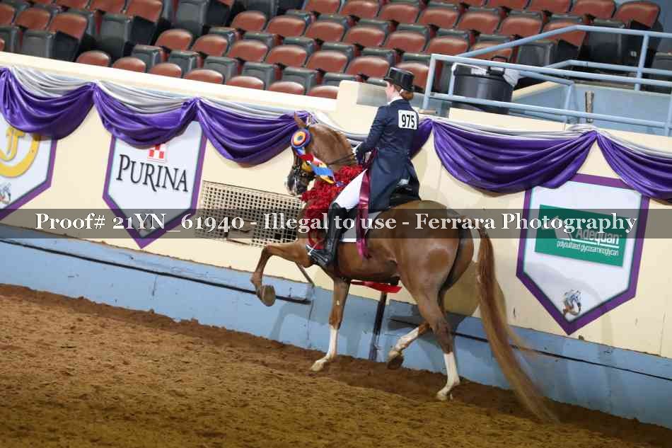 Proof 21YN_61940