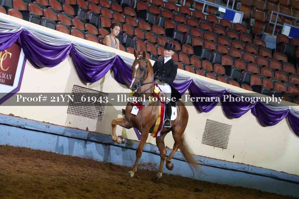 Proof 21YN_61943