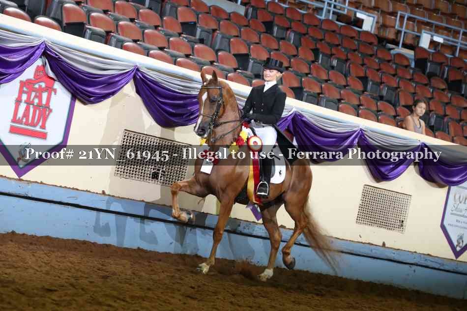 Proof 21YN_61945