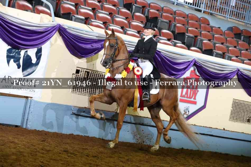 Proof 21YN_61946