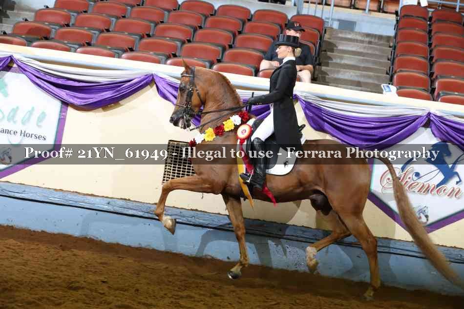 Proof 21YN_61949