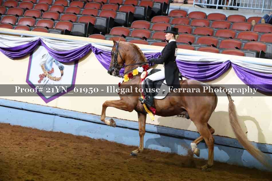 Proof 21YN_61950