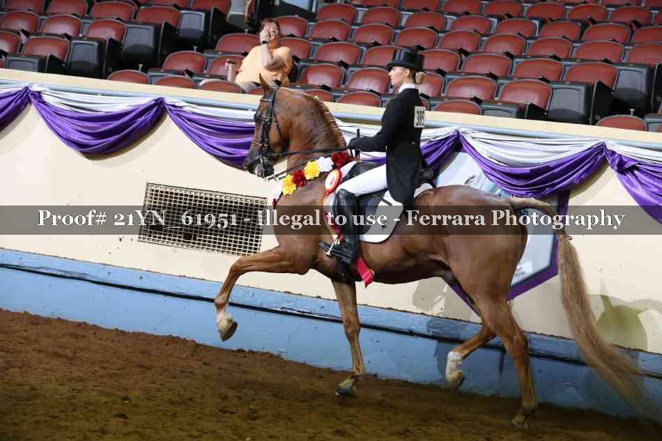 Proof 21YN_61951
